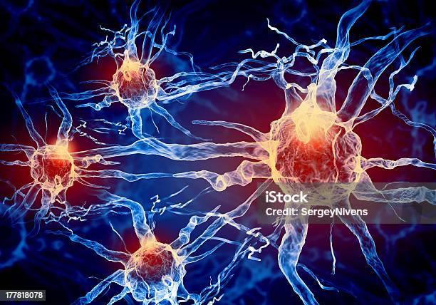 Illustration Of A Nerve Cell Stock Photo - Download Image Now - Nerve Cell, Muscular Build, Anatomy