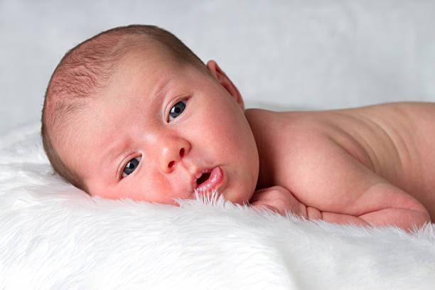 Newborn baby laying on belly looking peacefully at camera stock photo