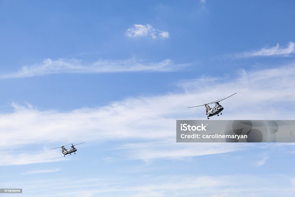 Dois CH - 46 Chinook helicópteros voando - Foto de stock de Exército Americano royalty-free