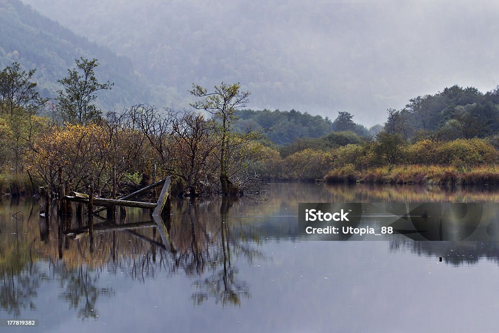 Reflexion von Herbst vegetation auf einem See, niedrige mountain range - Lizenzfrei Baumbestand Stock-Foto