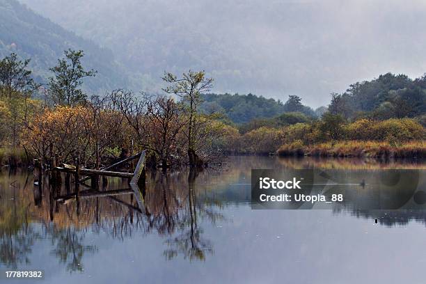 Reflexion Von Herbst Vegetation Auf Einem See Niedrige Mountain Range Stockfoto und mehr Bilder von Baumbestand