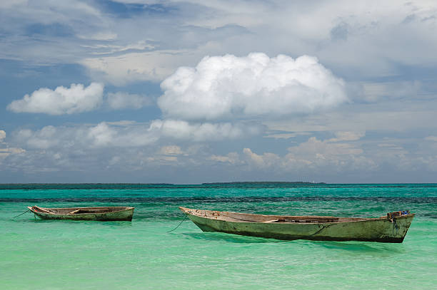 Beautiful beach with palms and turquoise sea