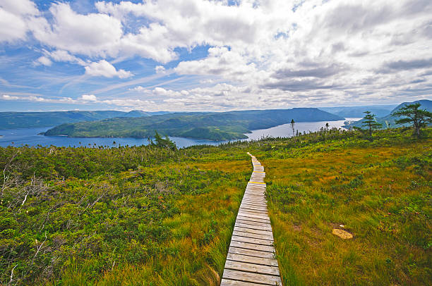 istock Trail to an Ocean Inlet 177819491