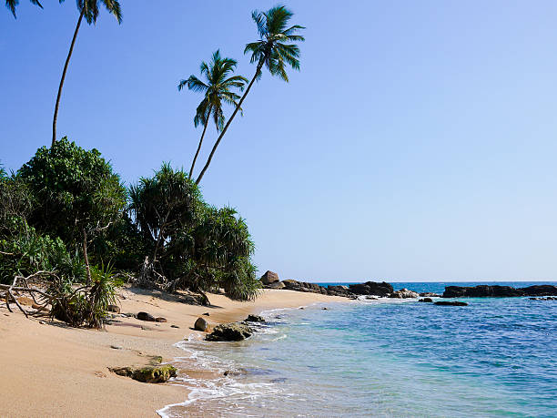 istock Beach close to Mirissa, Sri Lanka 177819635