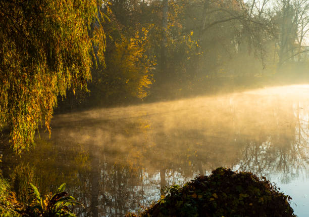 istock Foggy morning over the river. 1778200437