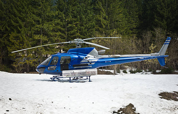 istock helicopter resting on the snow 177821003
