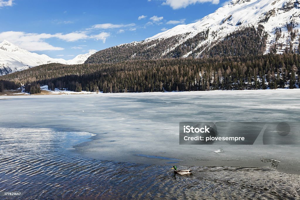 凍った湖 - からっぽのロイヤリティフリーストックフォト