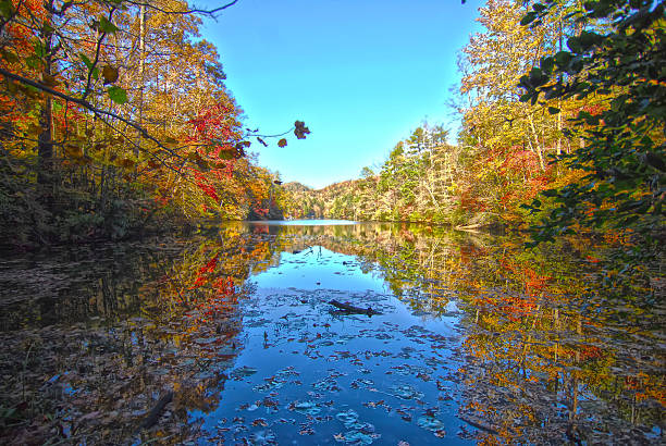istock blue ridge mountains north carolina 177821717