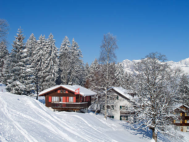 istock Winter holiday house 177821945