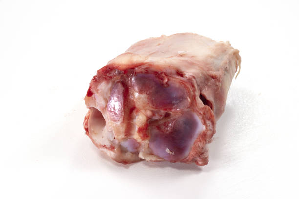 pieces of veal shank bones for food use
