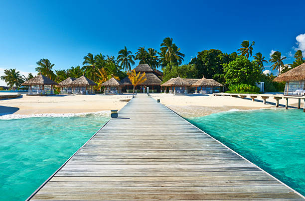 istock Tropical beach with wooden jetty 177822566
