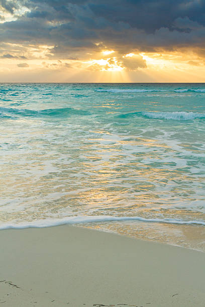 istock Beach of the Caribbean Sea 177823076