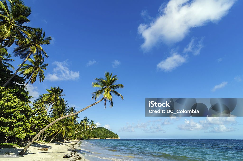Beautiful Deserted Beach Deserted white sand beach in Caribbean Sea in San Andres y Providencia, Colombia Colombia Stock Photo