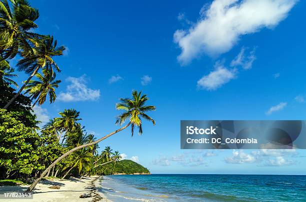 Beautiful Deserted Beach Stock Photo - Download Image Now - Colombia, San Andrés Island - Colombia, Beach
