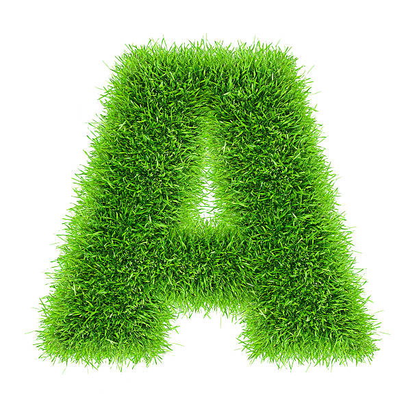 istock letter of grass alphabet 177823741