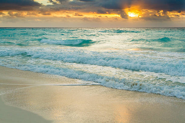istock Beach of the Caribbean Sea 177823767