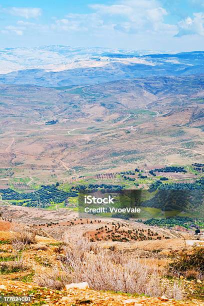 Vista Do Monte Nebo Na Jordânia - Fotografias de stock e mais imagens de Agricultura - Agricultura, Ajardinado, Aldeia