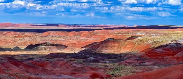 istock Painted Desert National Park 1778241106