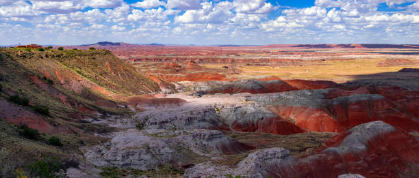istock Painted Desert National Park 1778241110