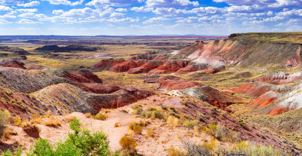 istock Painted Desert National Park 1778242225