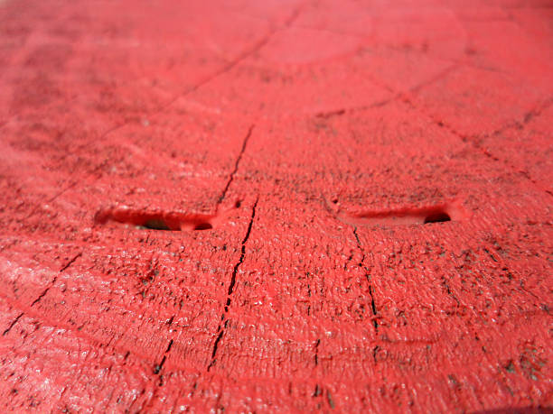 istock Cross Section of Tree Painted Red 177825134