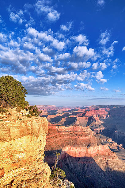 istock Grand Canyon in the morning 177825719