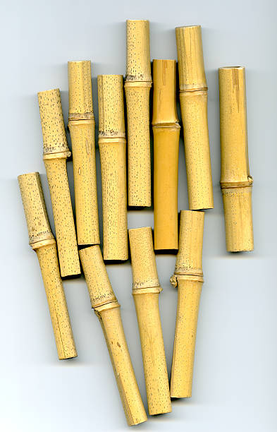 Bambus-sticks – Foto