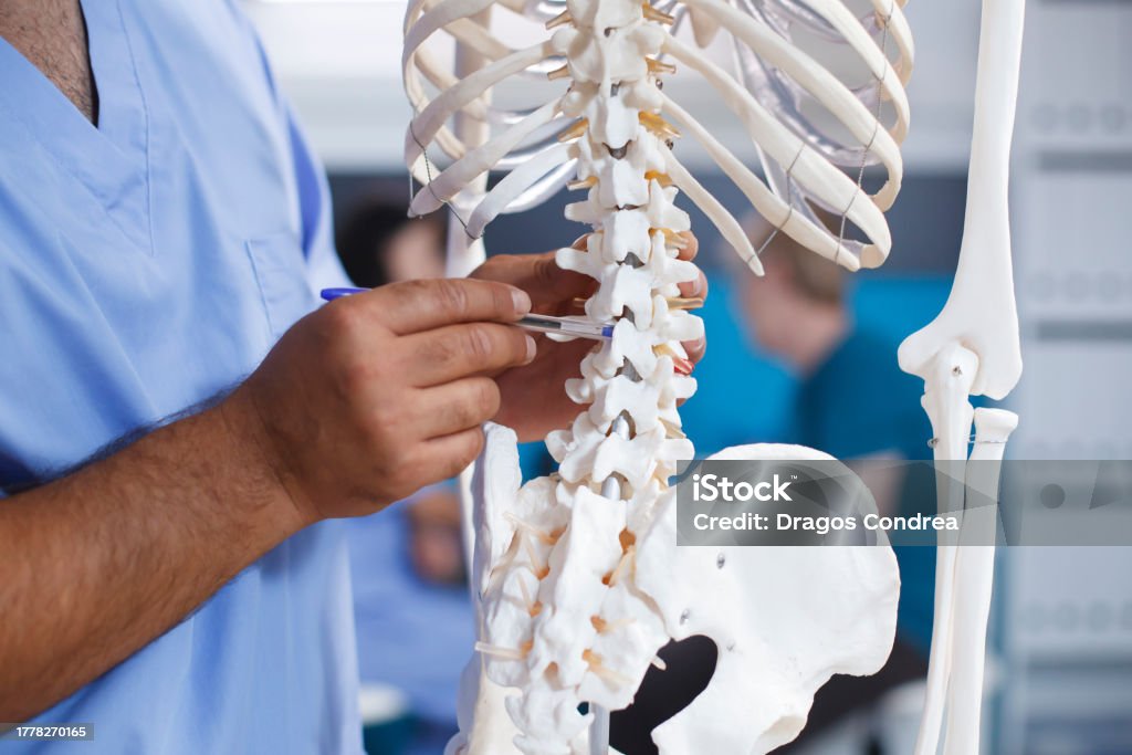 A Physical Defect Chiropractor Diagnosing Physical Defects Stock Photo - Download Image ...