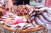 fisch-im-markt-in-thailand.jpg?b=1&s=170x170&k=20&c=AIwktPl-HAQHAvXsrUklUUcF-lyzLJF-pAKTg0oaqmM=