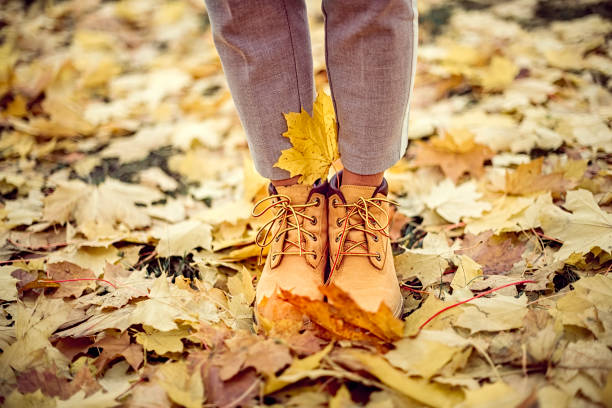 istock Autumn still life. Boots in autumn leaves 1778276924