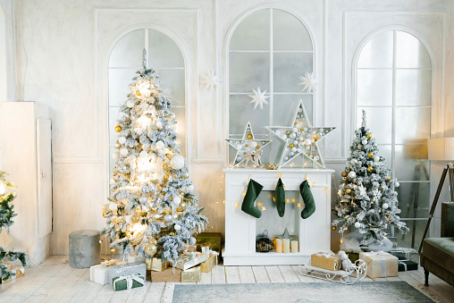 Stylish interior of living room with decorated Christmas tree