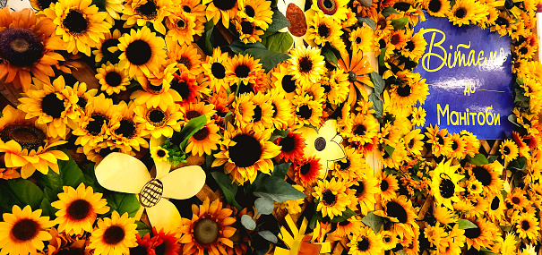 The photo captures a yellow sunflower wall adorned with a welcoming sign in Ukrainian, saying \