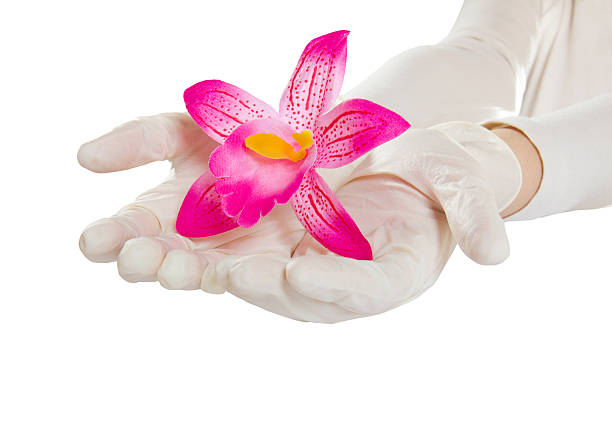 luvas de borracha médico isolado - orchid simplicity single flower flower - fotografias e filmes do acervo