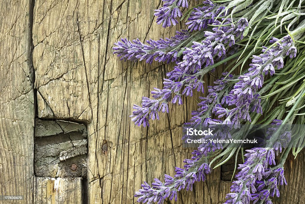 lavender on vintage wood Backgrounds Stock Photo