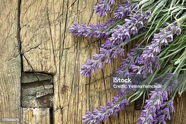 Lavender On Vintage Wood Stock Photo - Download Image Now - Backgrounds, Beauty, Beauty In Nature