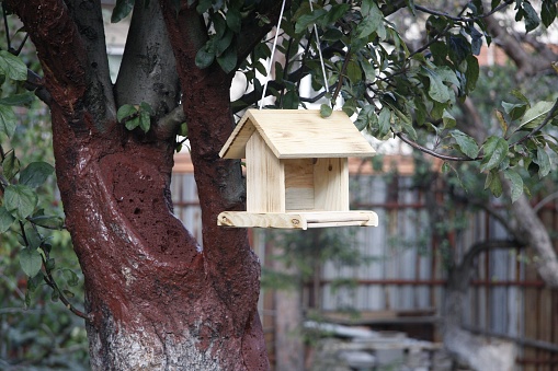 A closeup of a wooden bird house hanging on a tree