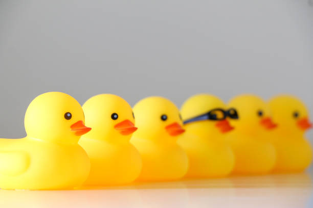 istock Six yellow rubber ducks in a row, get ones ducks in a row, plan, preparation, organisation concept 1778319217