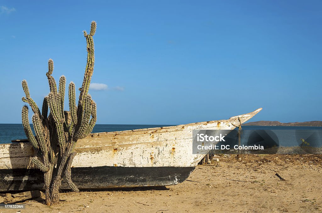 Cactus na praia - Foto de stock de Colômbia royalty-free