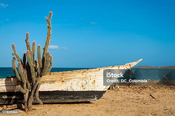 Foto de Cactus Na Praia e mais fotos de stock de Colômbia - Colômbia, La Guajira, Areia