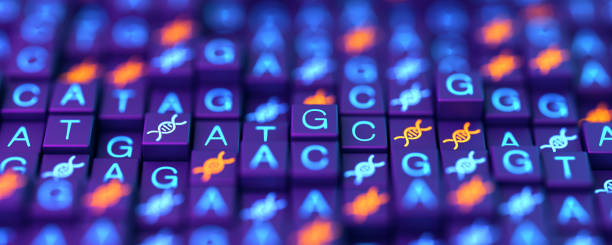 istock Digital screen with DNA strands and sequencing ATGC data background. Double helix structure. Nucleic acid sequence. Genetic research. 3d illustration. 1778326055