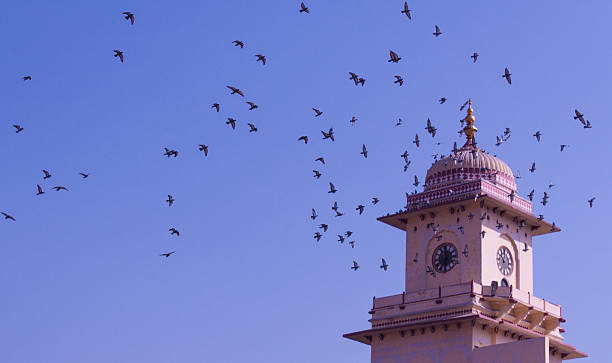 istock Jaipur, Rajasthan - City Palace Tower, India 2011 177833044