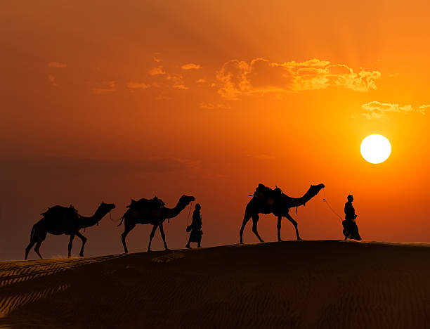 due cameleers con cammelli in dune di thar deser - india travel journey camel foto e immagini stock