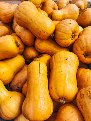 a pile of butternut squash at the farmer's market