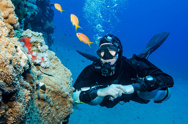 istock scuba diver with side mount tanks 177835412