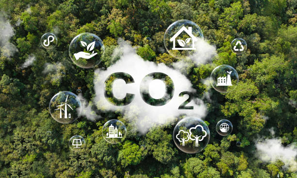 istock Carbon dioxide reduction concept in top view of environmental forest. Sustainable development and green business from renewable energy Limit climate change. 1778357948