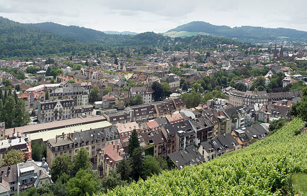 istock Freiburg im Breisgau at summer time 177835910