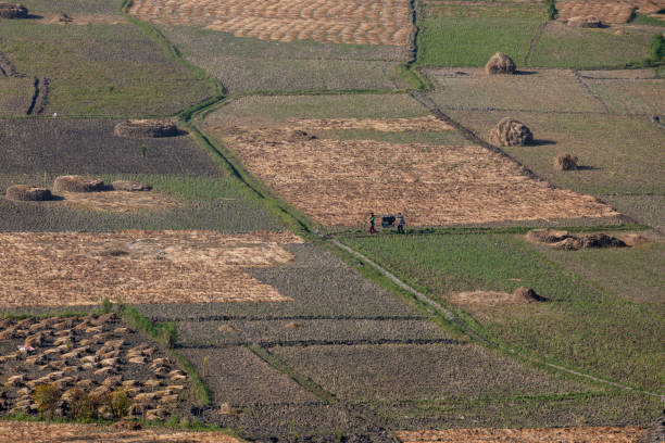 istock Rice Farmland of Nepal. 1778366580