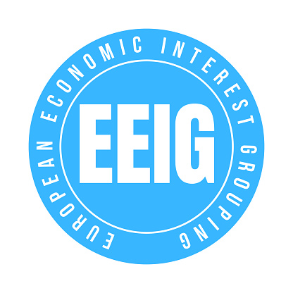 EEIG European economic interest grouping symbol icon