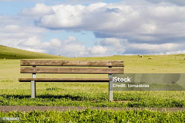 Bench In A Public Garden On Spring Stock Photo - Download Image Now - Autumn, Beauty In Nature, Bench