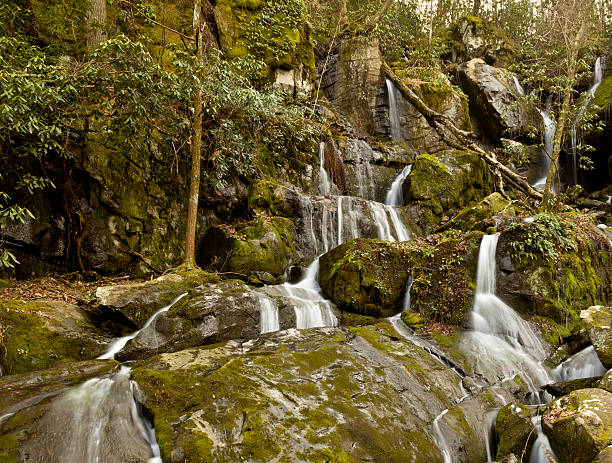 поместите тысячи капл�и в smokies - tennessee waterfall stream forest стоковые фото и изображения